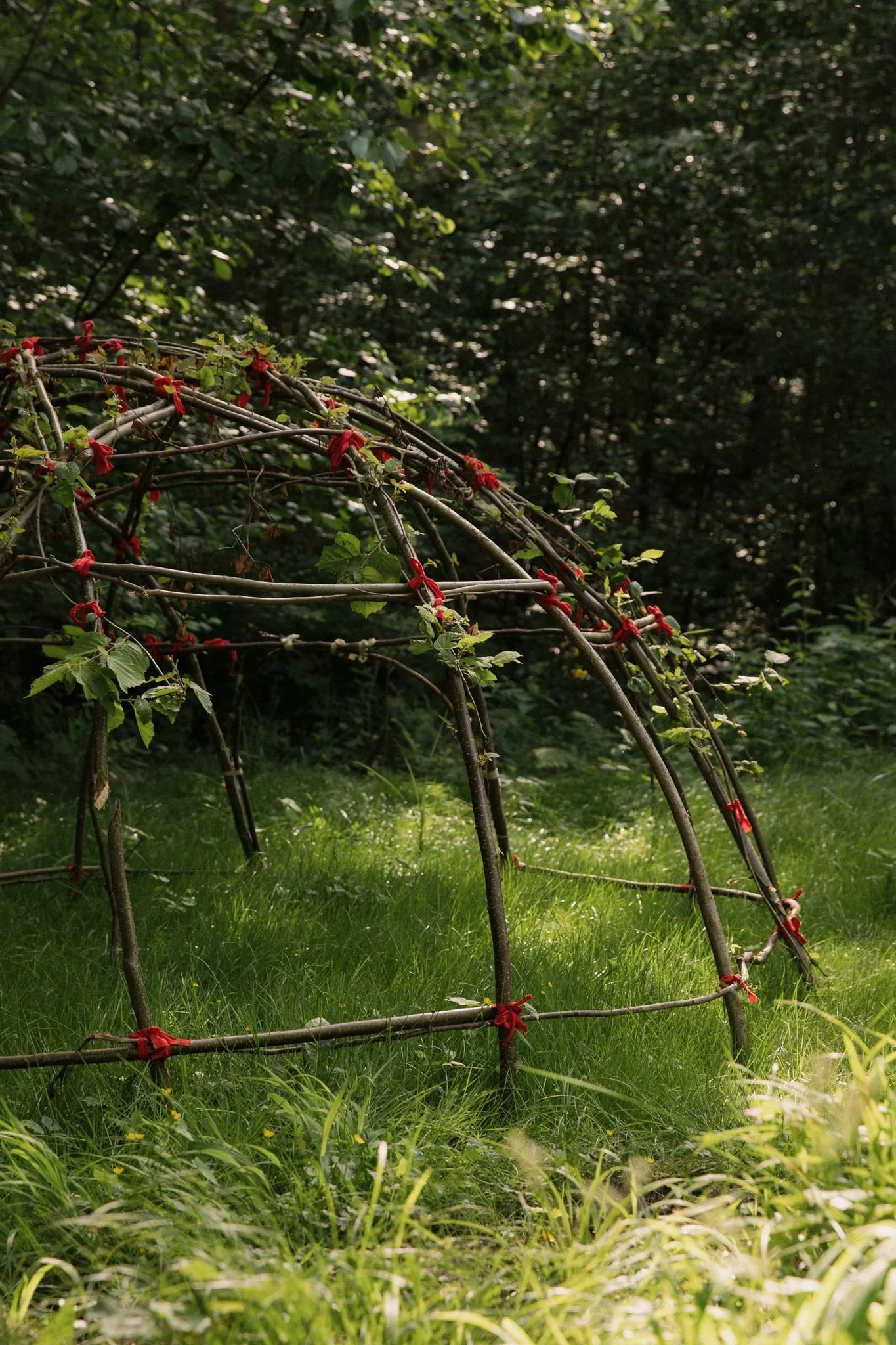 Through the Veil: Samhain Sweatlodge Ceremony