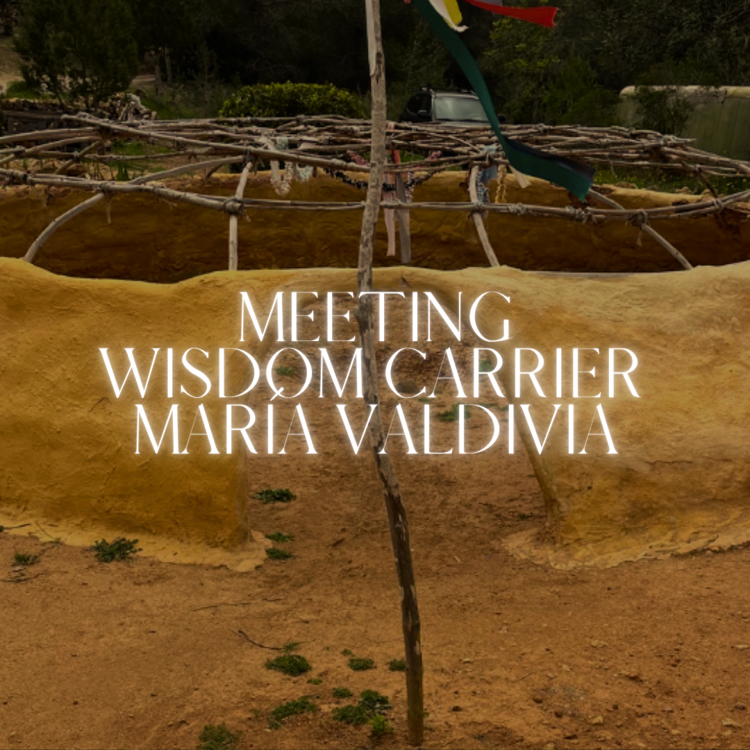 Early Bird - Dec Medi (1).png