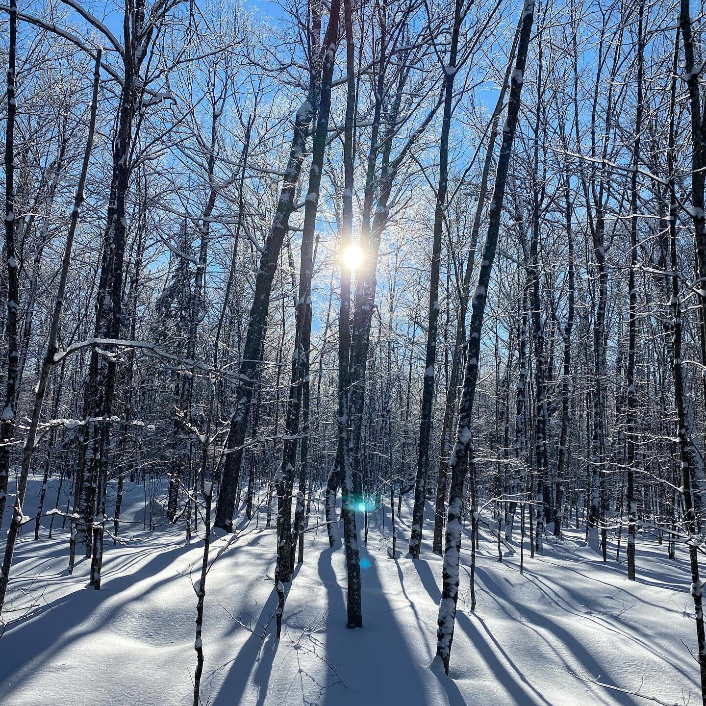 Winter wonderland at the Mag.