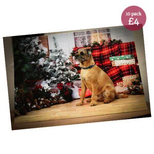 Christmas Cards 