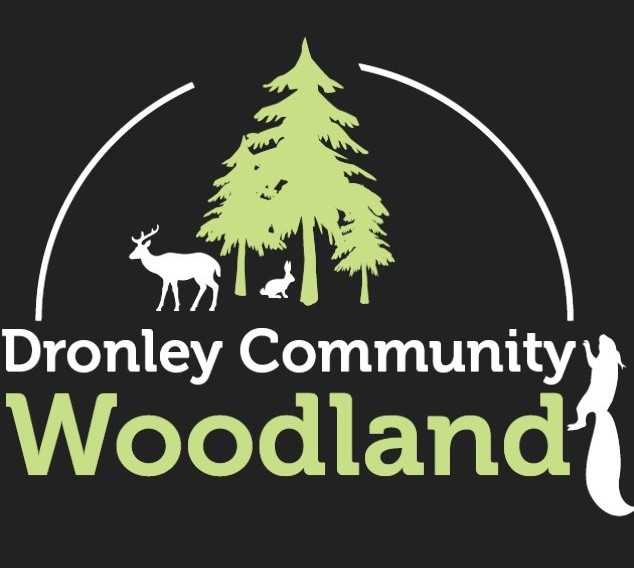 Dronley CW.jpg