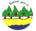 Dunnet FT.jpg