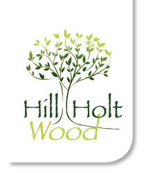 Hill Holt Wood.jpg