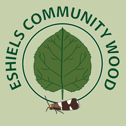 Eshiels Community Woodland