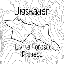 Uigshader