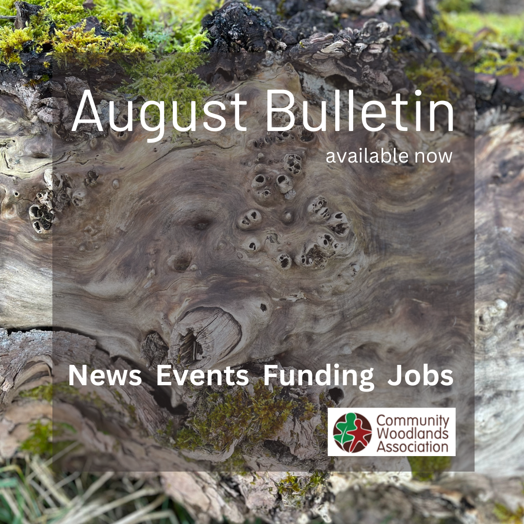 August Bulletin