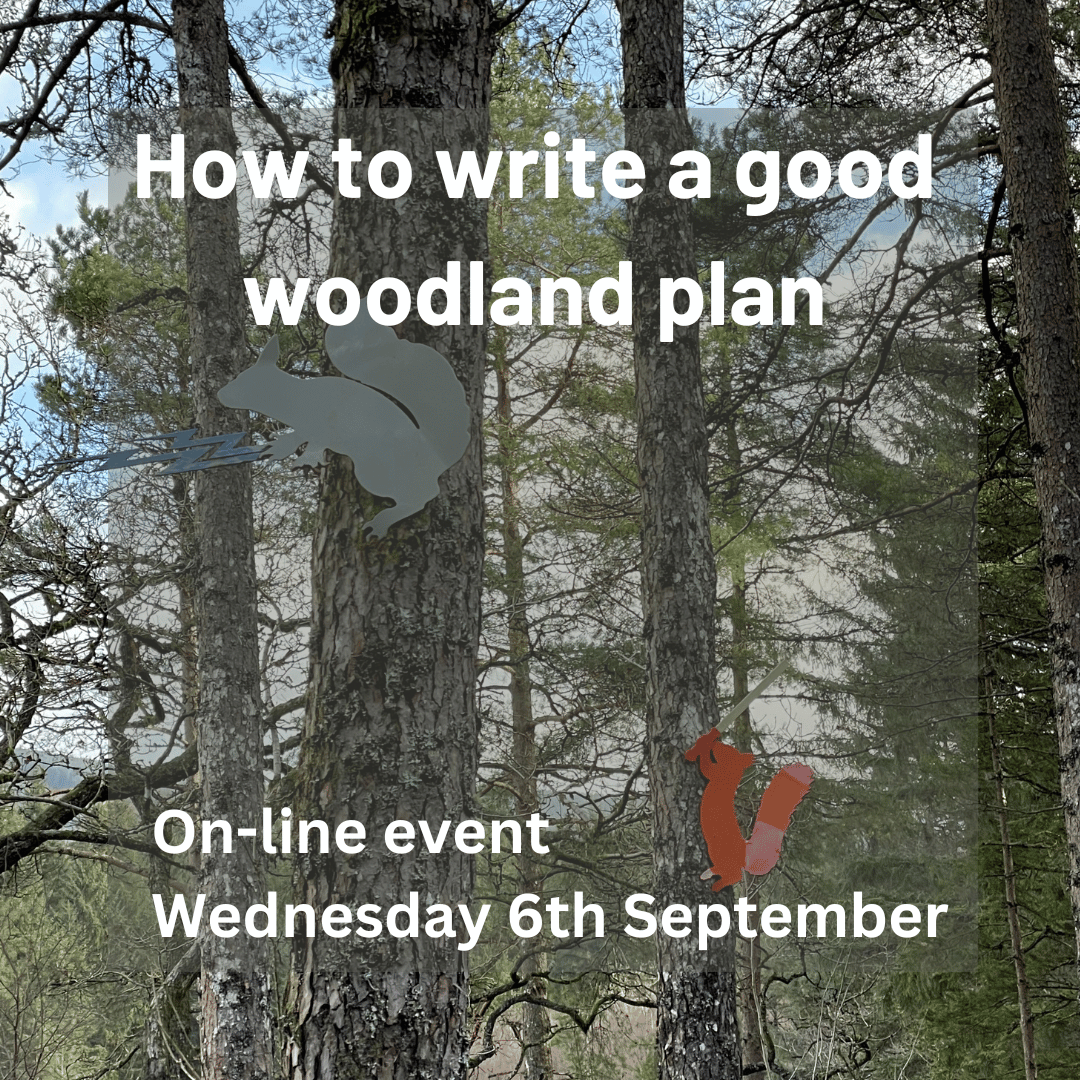 Online Event - 6th September