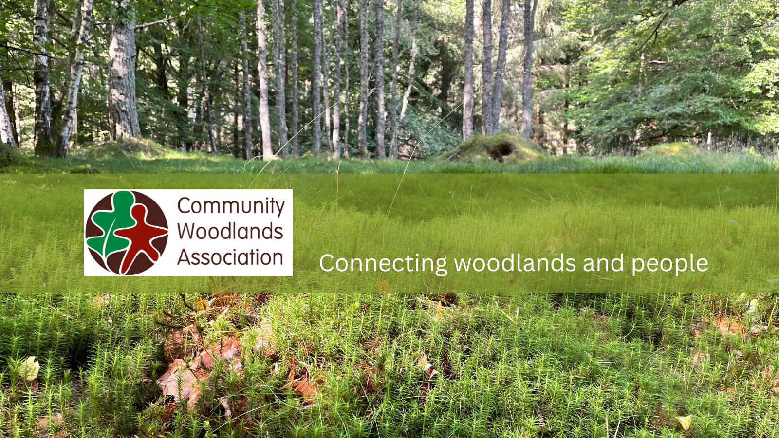 Projects - website (11).png