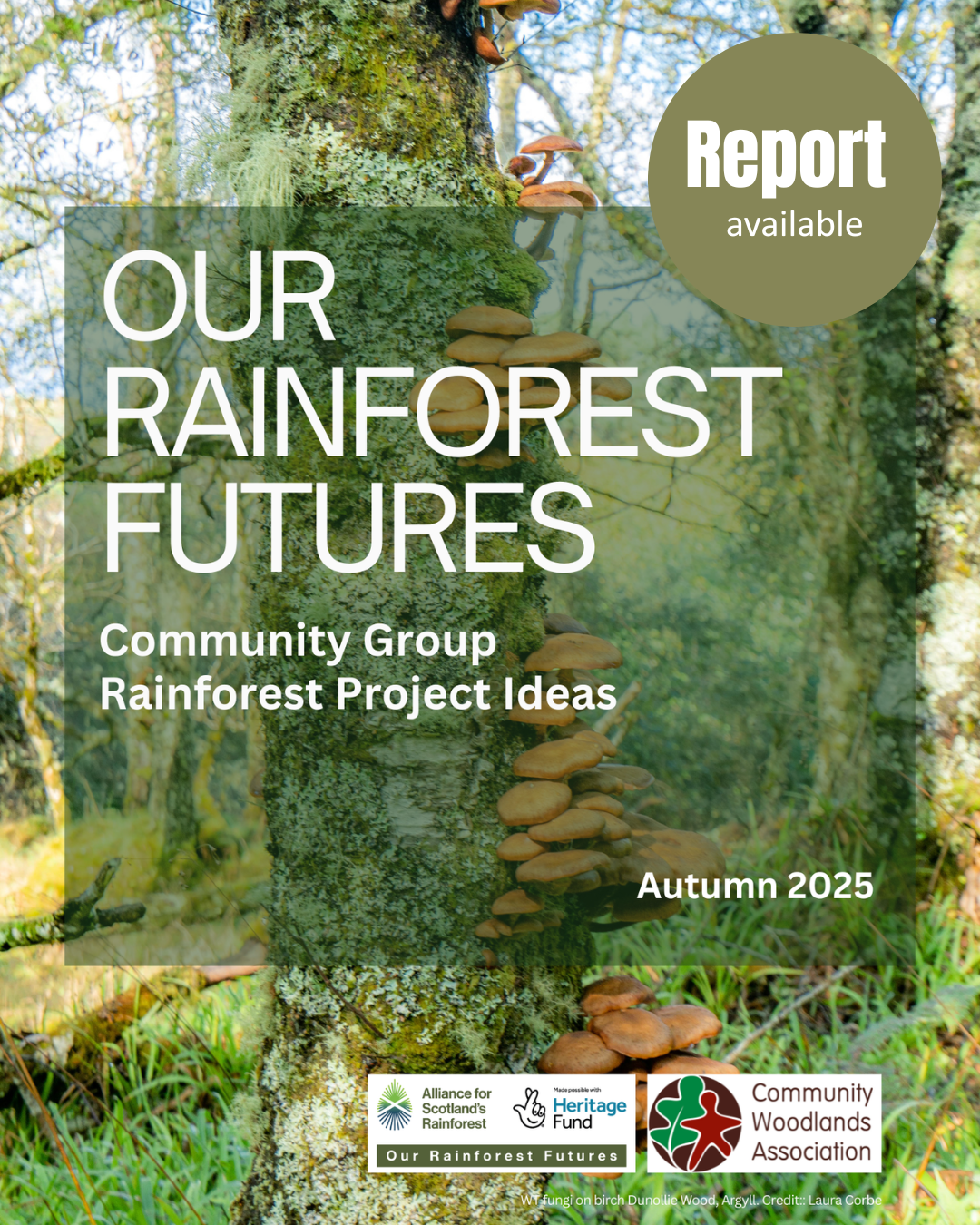 Website Tiles (3).png