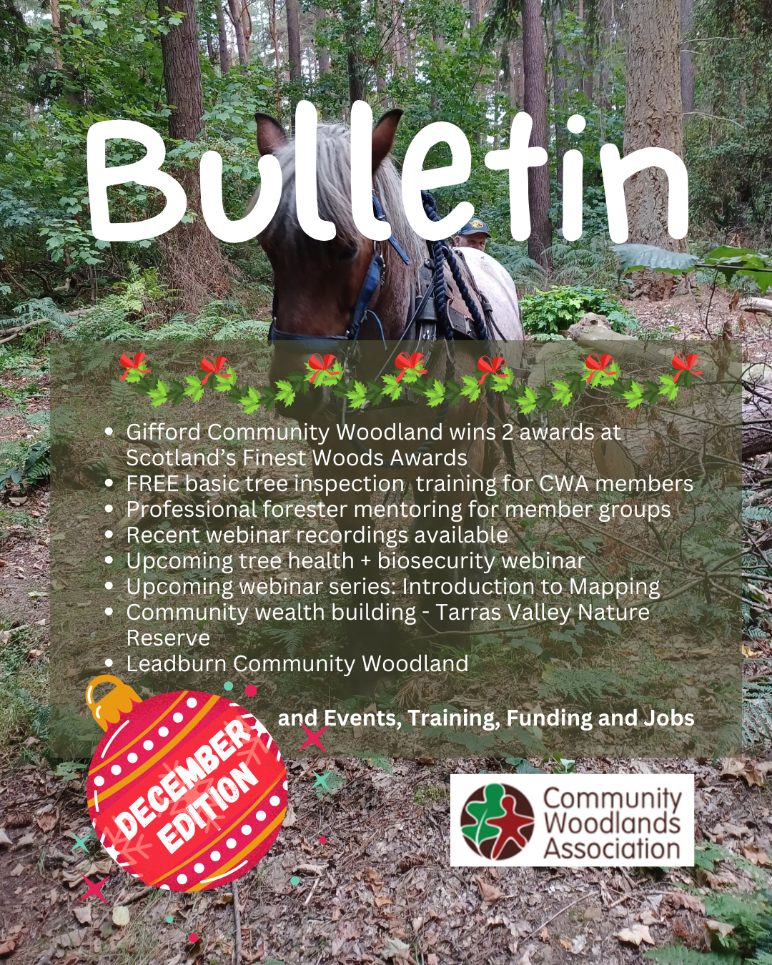 December Bulletin