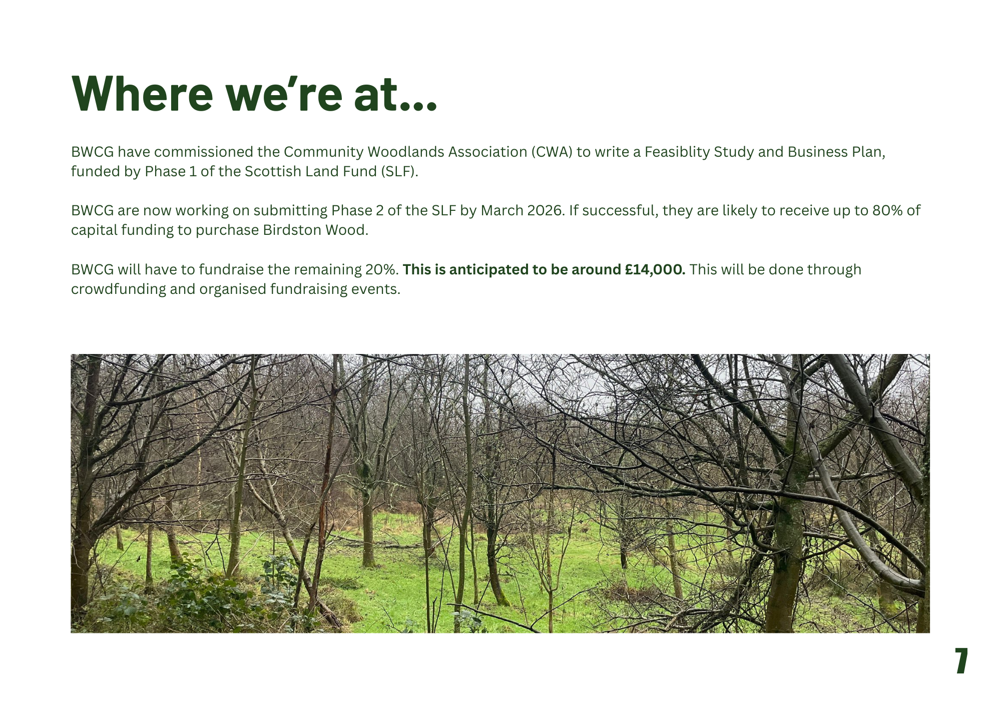 Birdston Wood Consultation (1).png