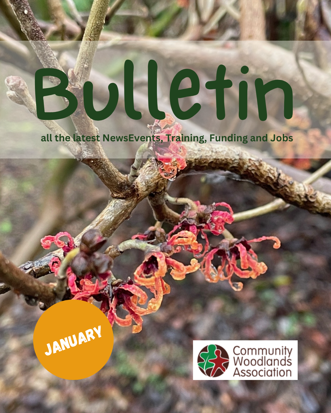 January Bulletin