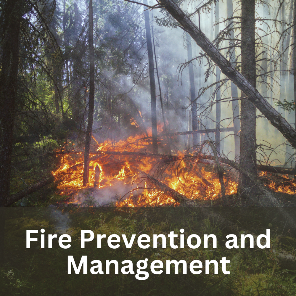 Fire Prevention And Management Community Woodlands Association
