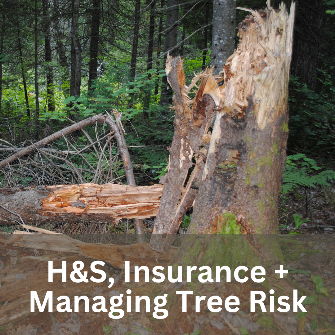 Exploded Tree Risk Managing Tree Risk — Community Woodlands Association