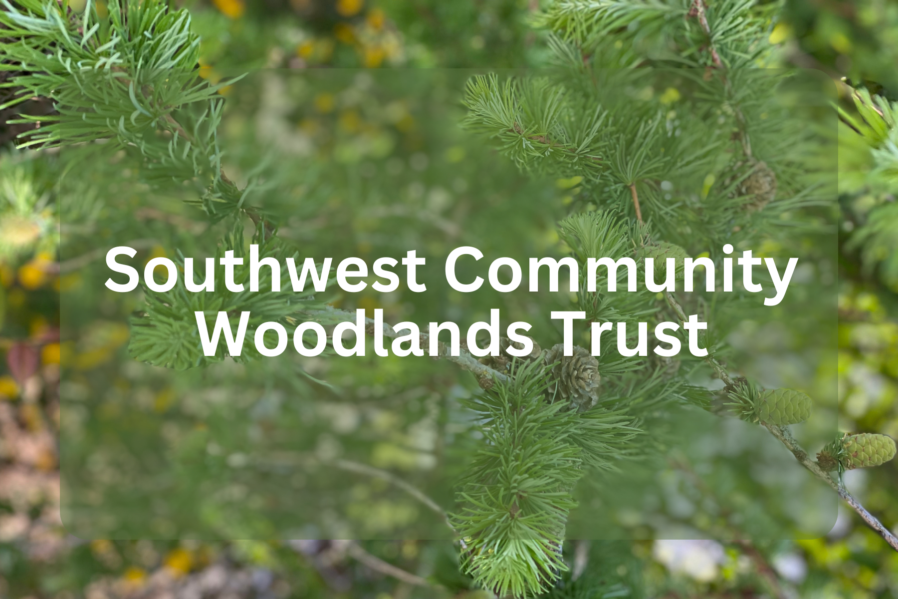 Member Groups Temp Logo (1).png