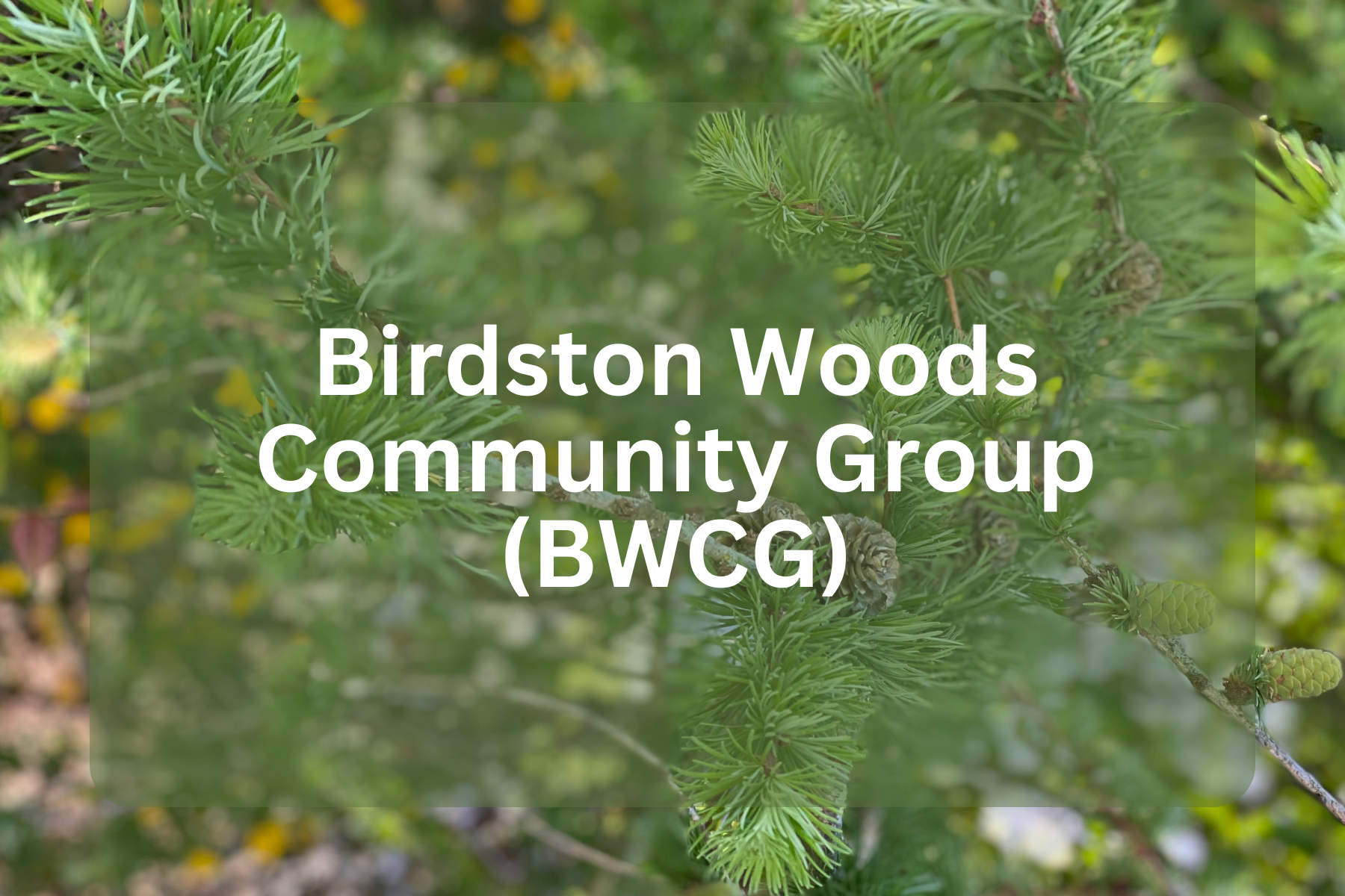 Member Groups Temp Logo.png