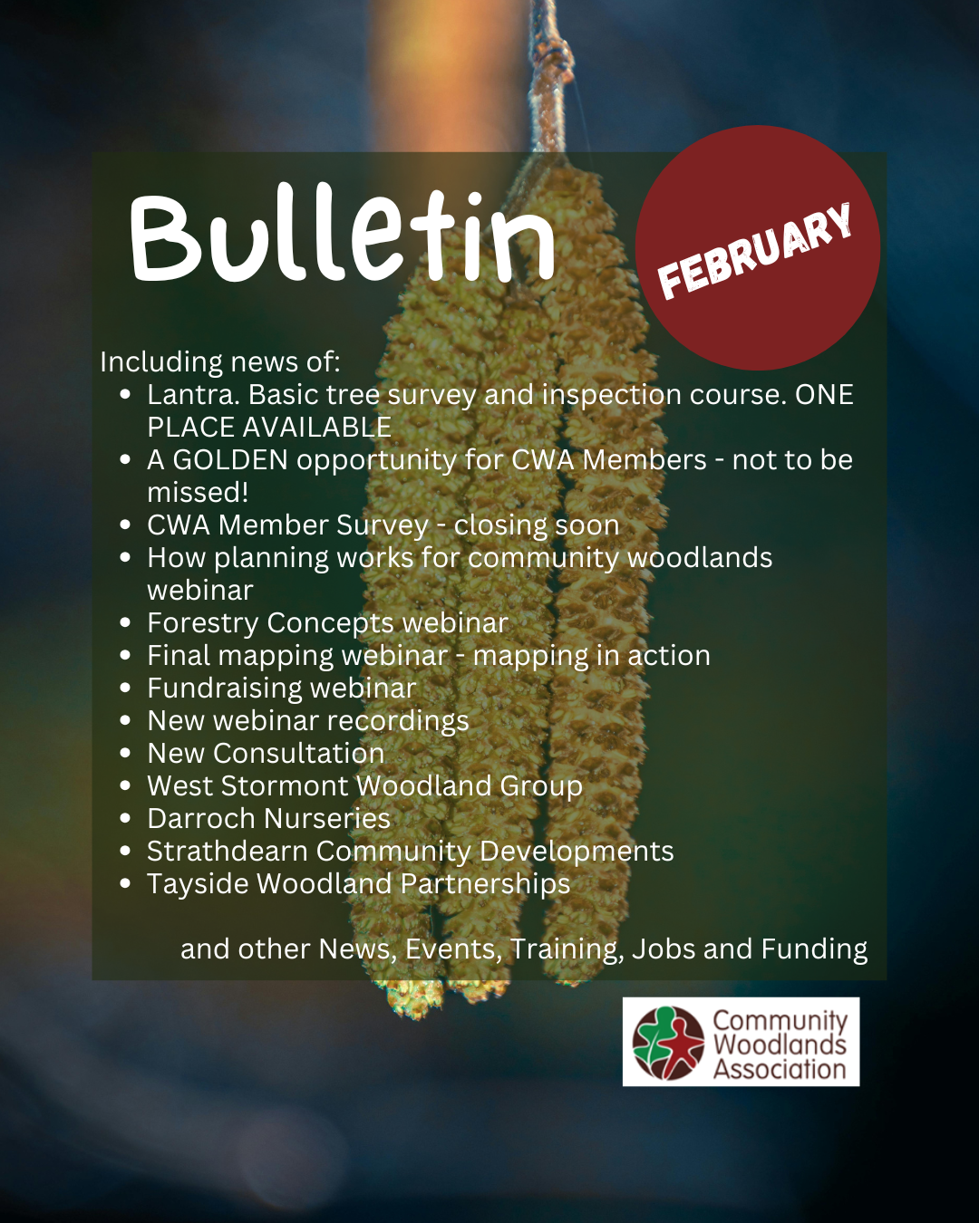 February Bulletin