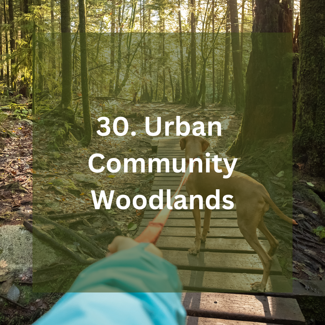 Information sheets (20).png