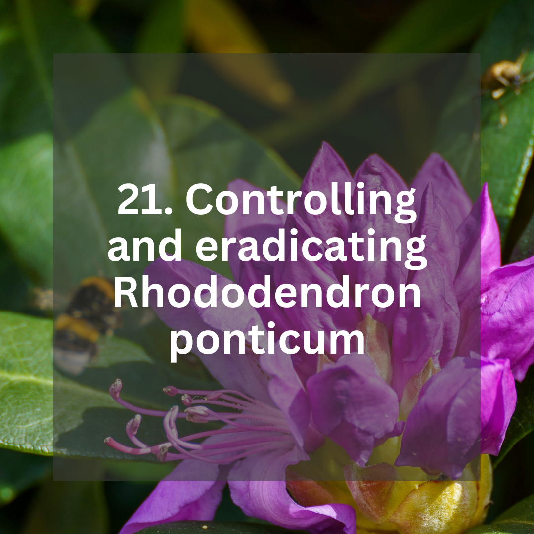 Information sheets (22).png