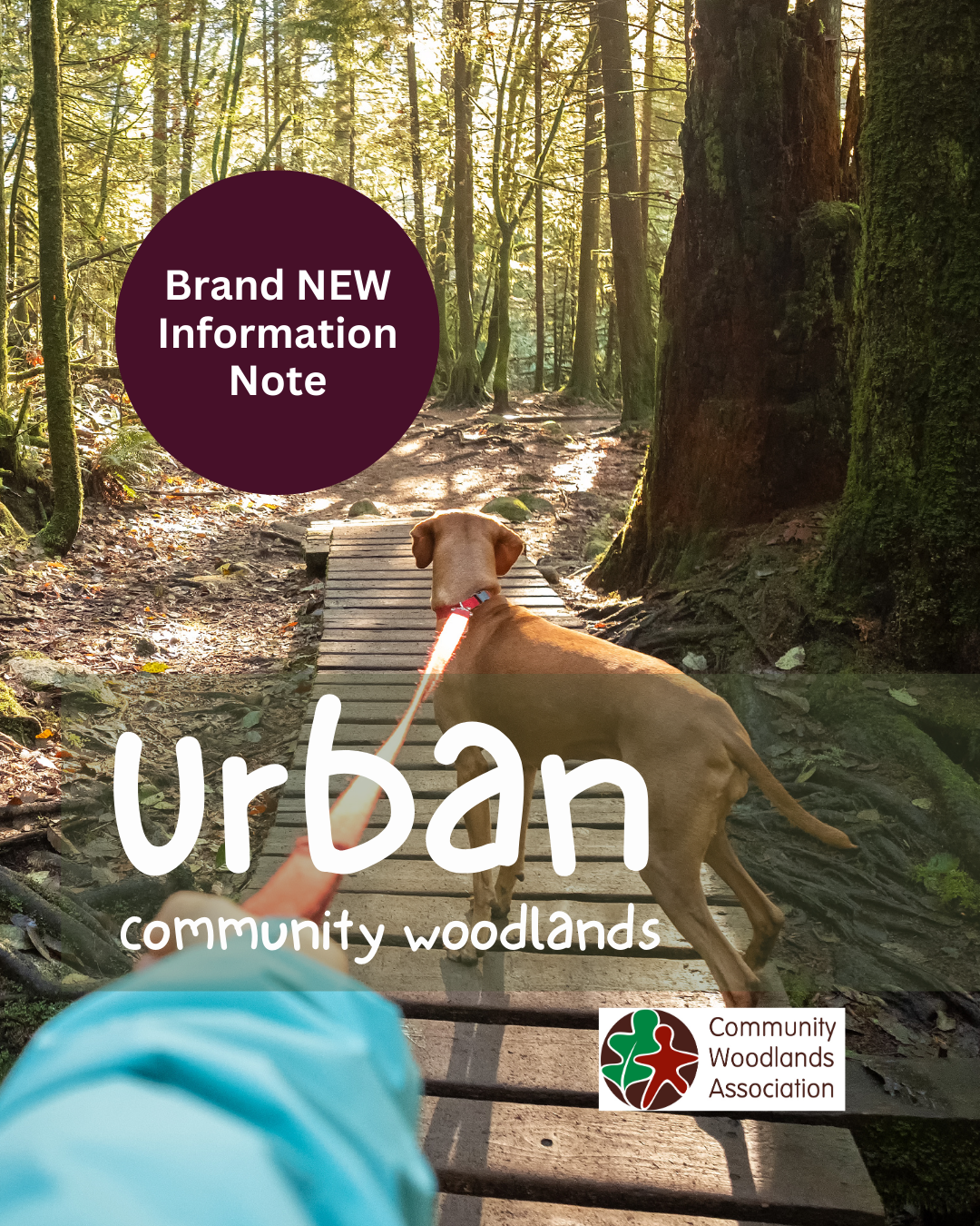 New Information Note