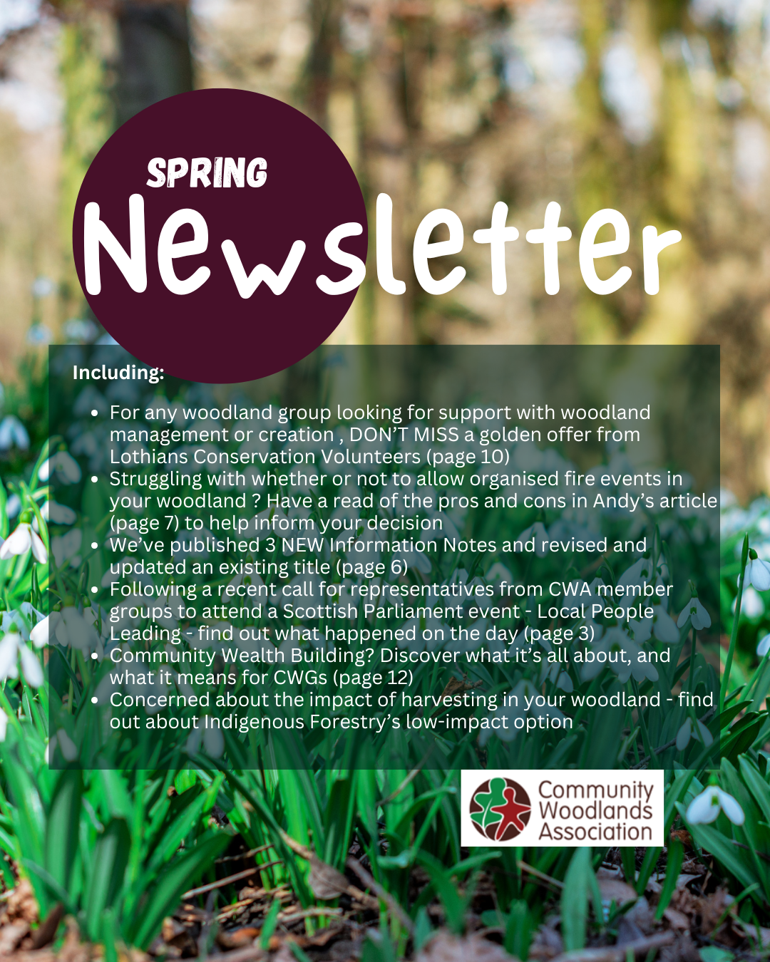 Spring Newsletter