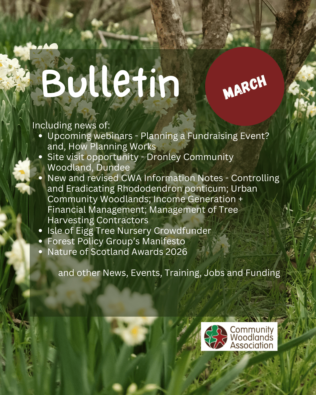 March Bulletin