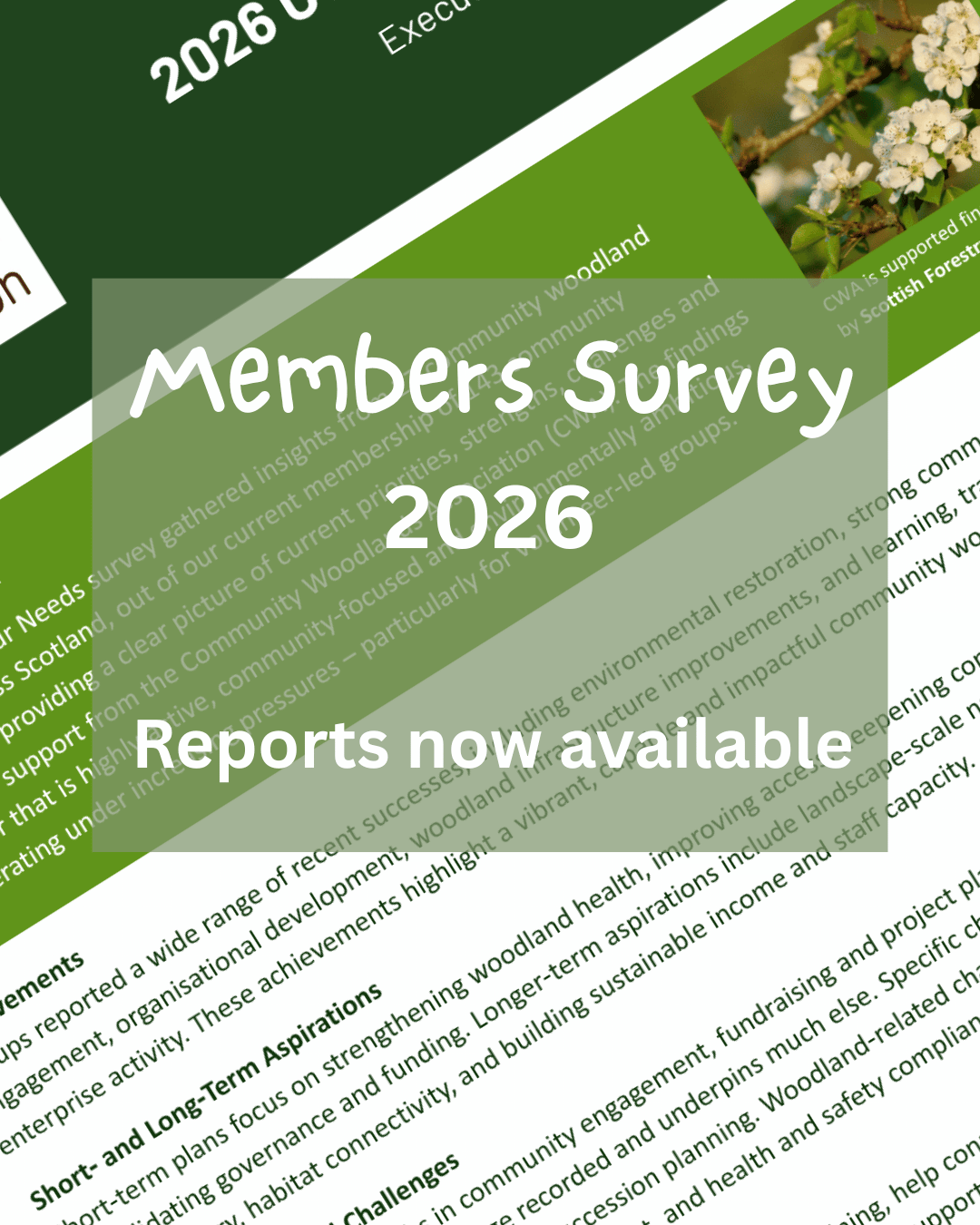 Member Survey 2026