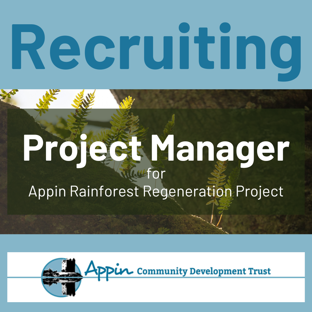 Project Manager Post