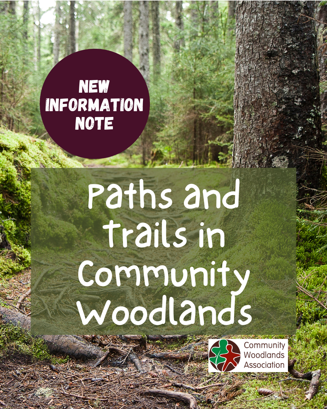 Paths and Trails