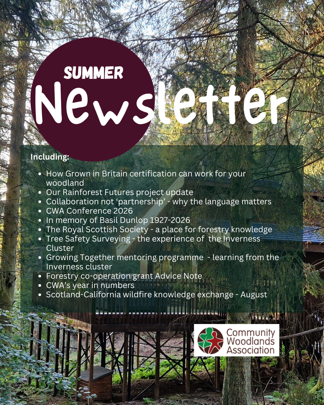Summer Newsletter