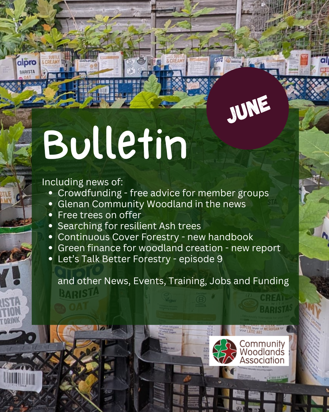 June Bulletin