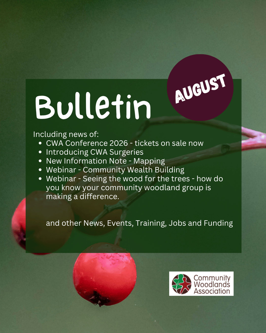Bulletin + Newsletter (45) (18).png