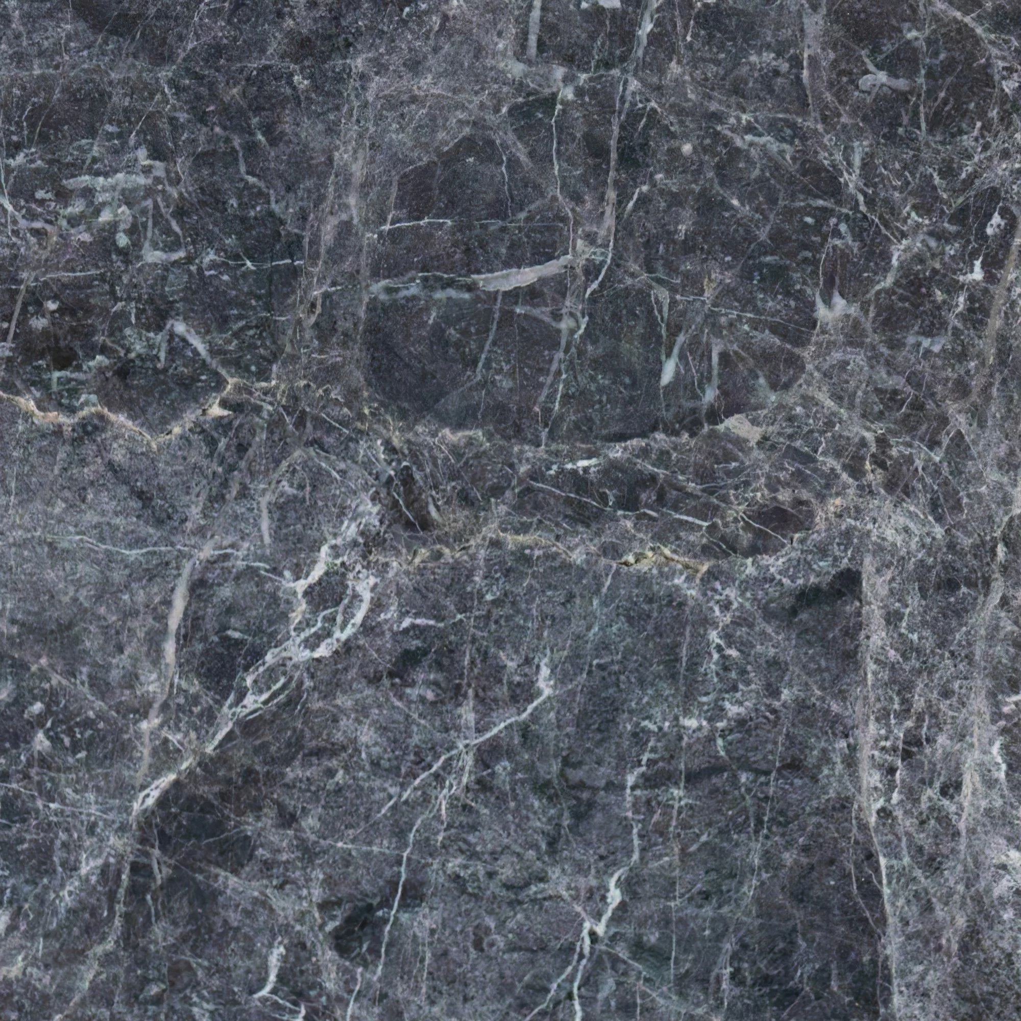 20260227-IMGL6736-2-gigapixel-high fidelity v2-2x (Custom).jpg