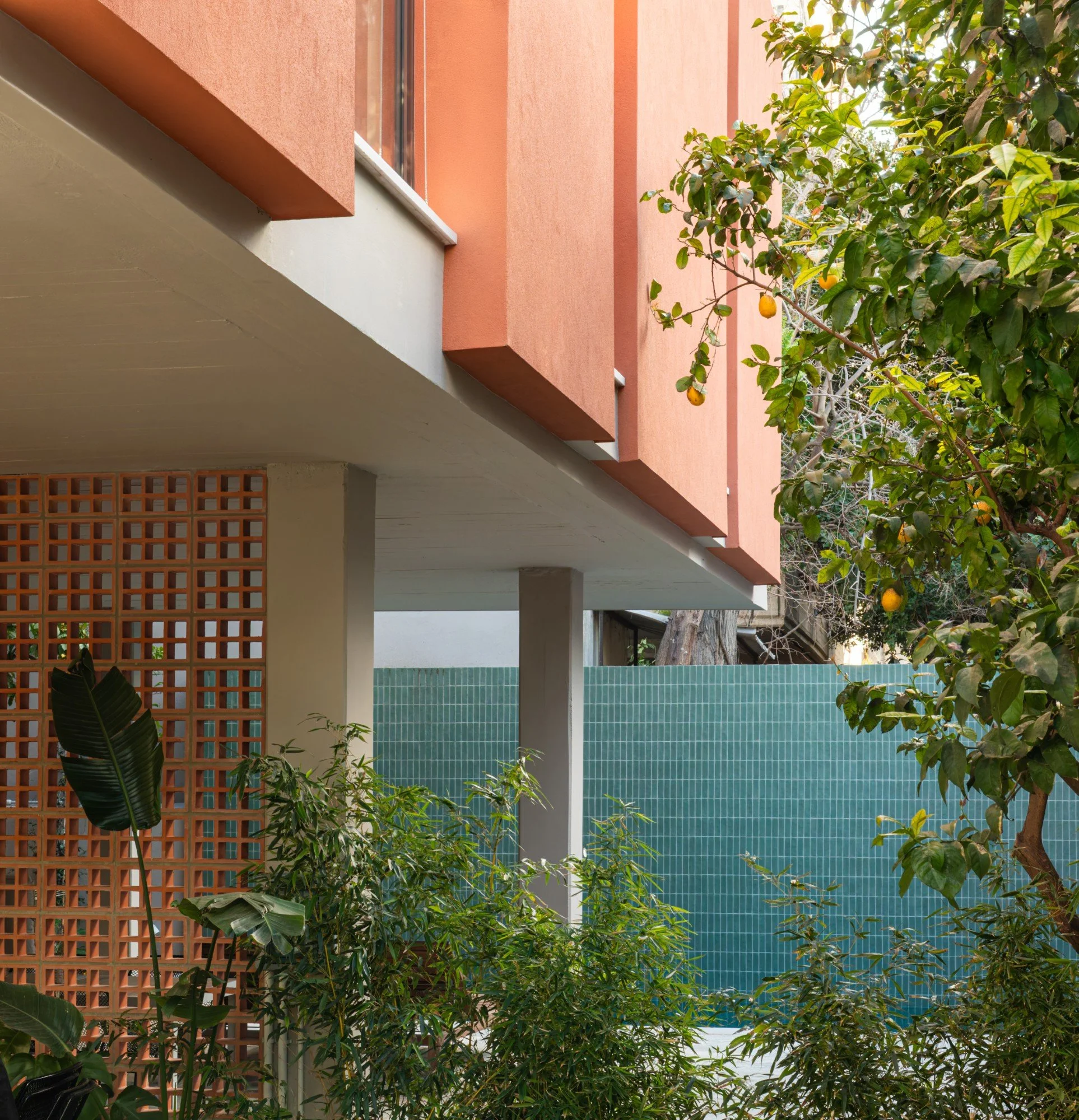 20260227-IMGL6683 (Custom).jpg