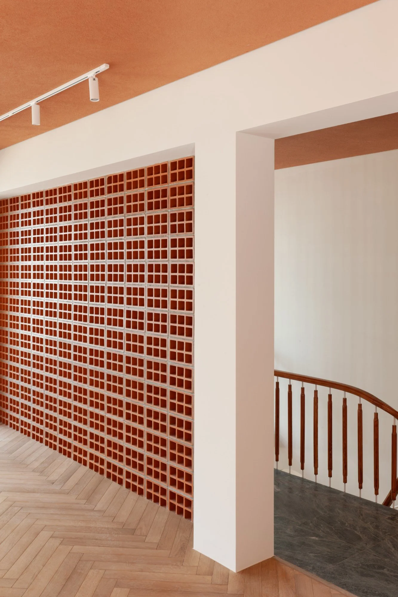 20250309-171U0862 (Custom).jpg