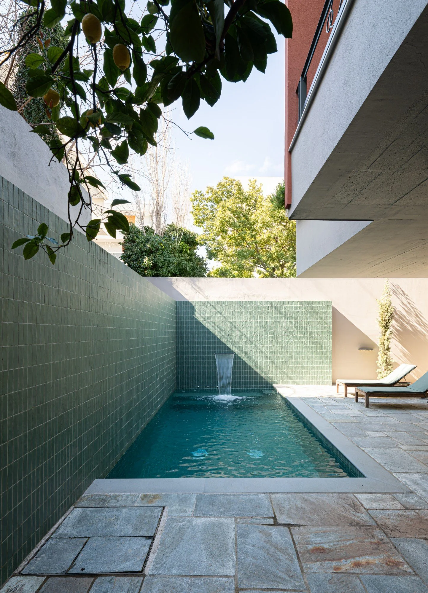 20260222-IMGL6424 (Custom).jpg