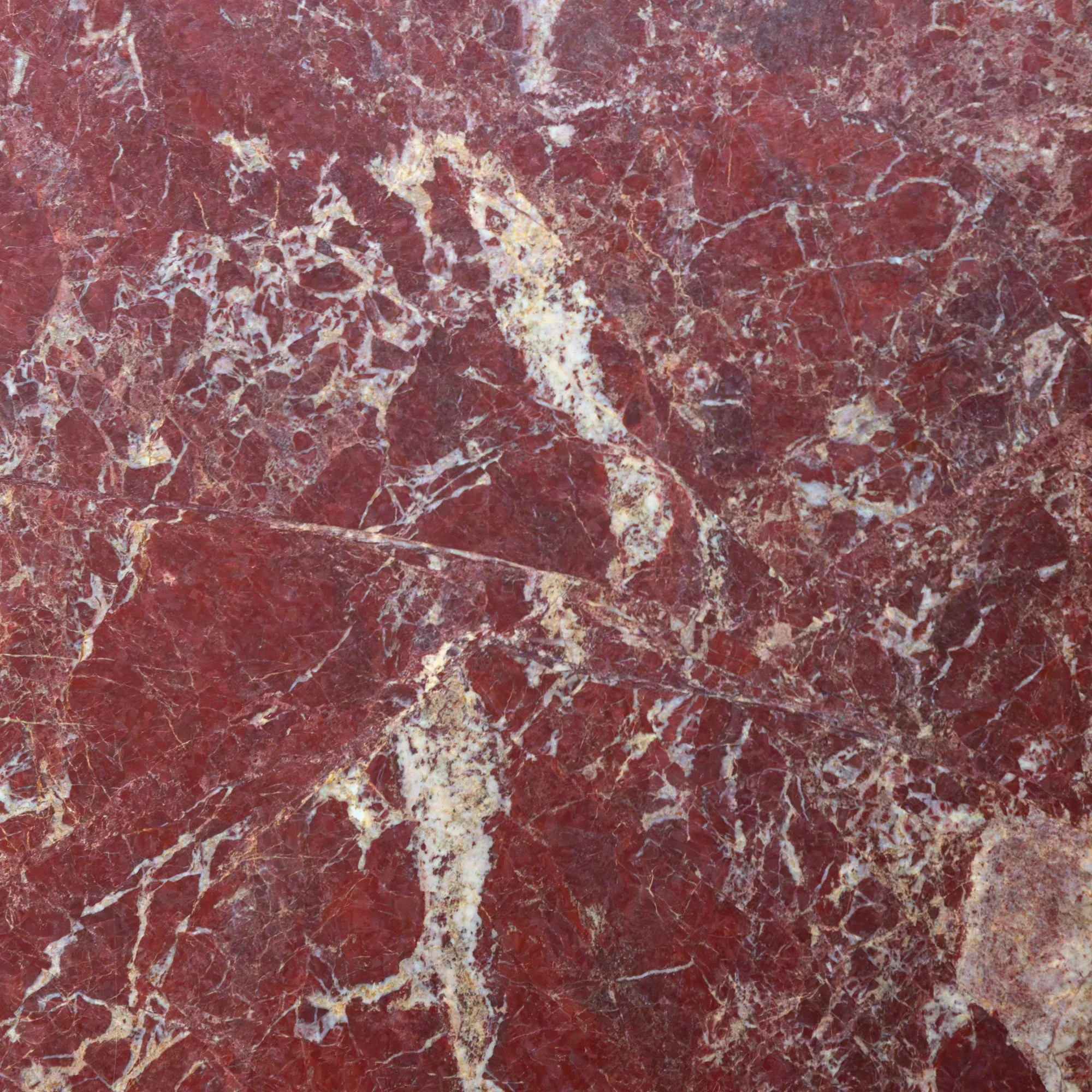 20260227-IMGL6740 (Custom).jpg