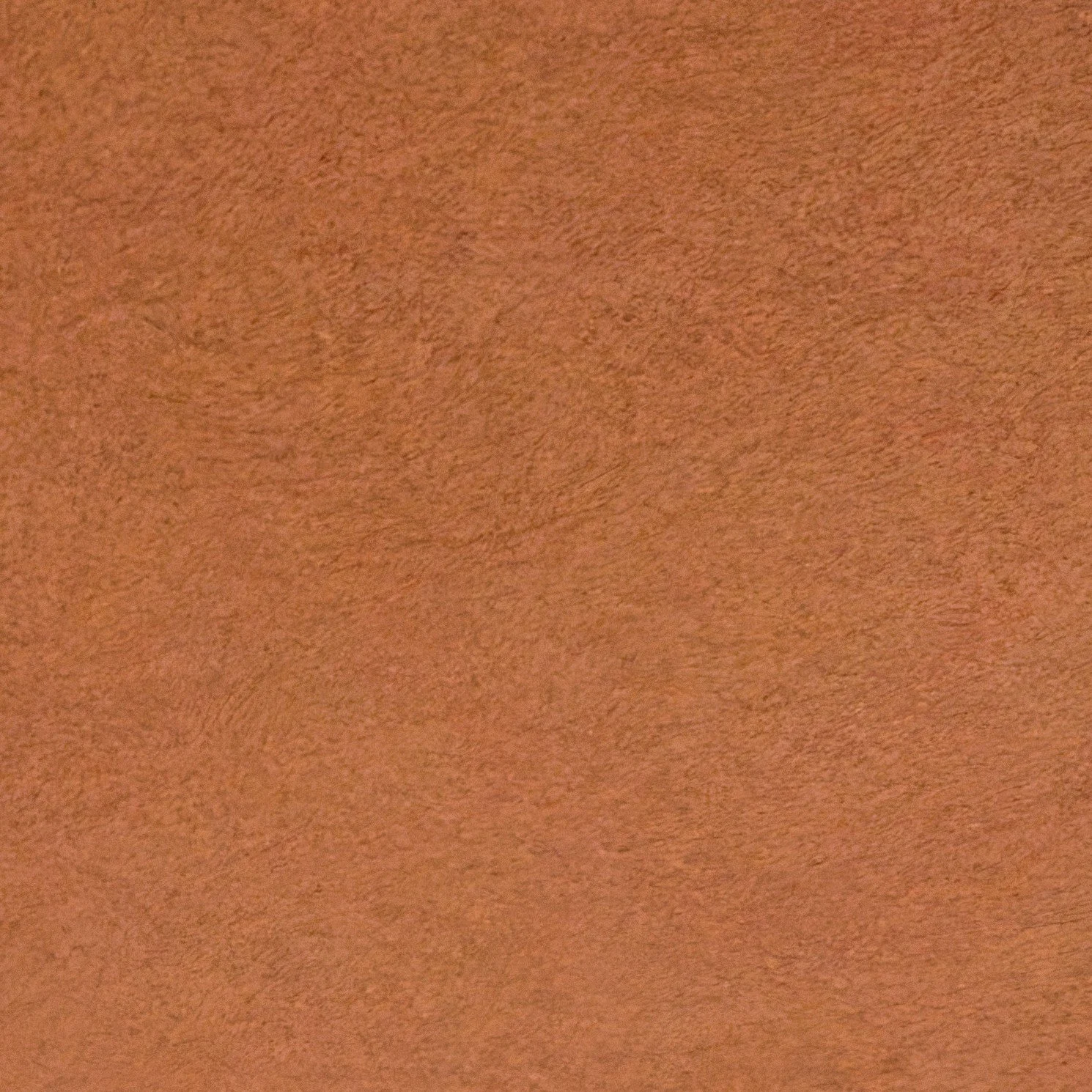 20260227-IMGL6743 (Custom).jpg