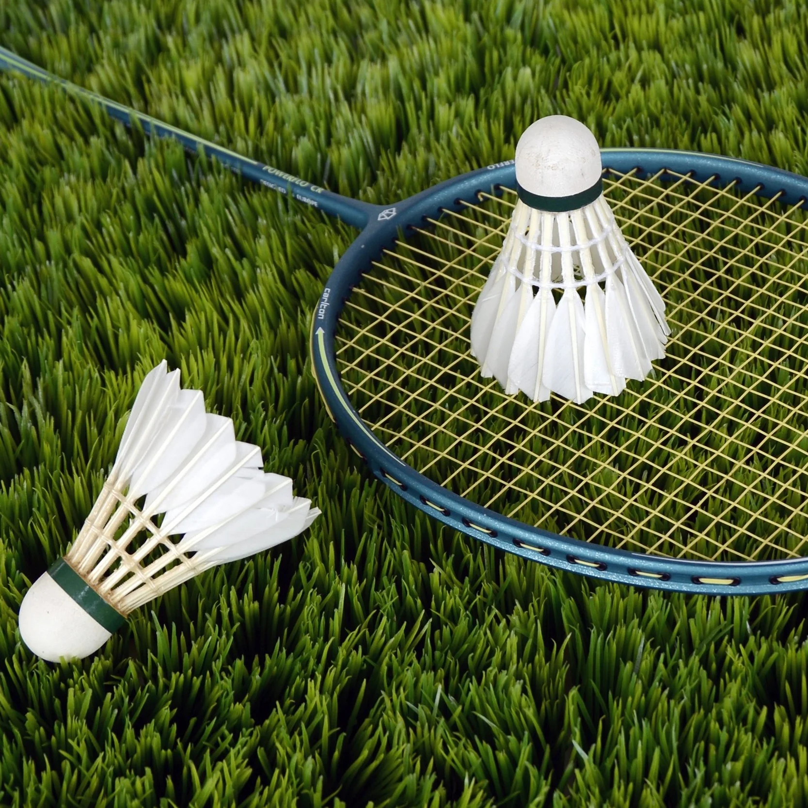 badminton-omnisports16