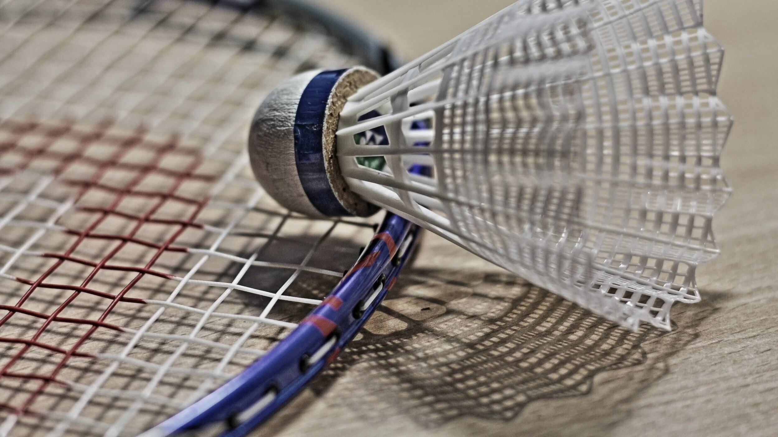 badminton-omnisports16.jpg