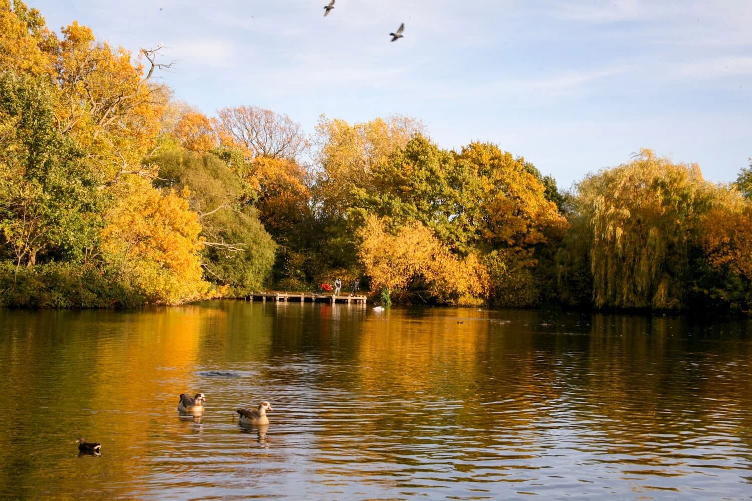 AUTUMNCOMMON_0059.jpg