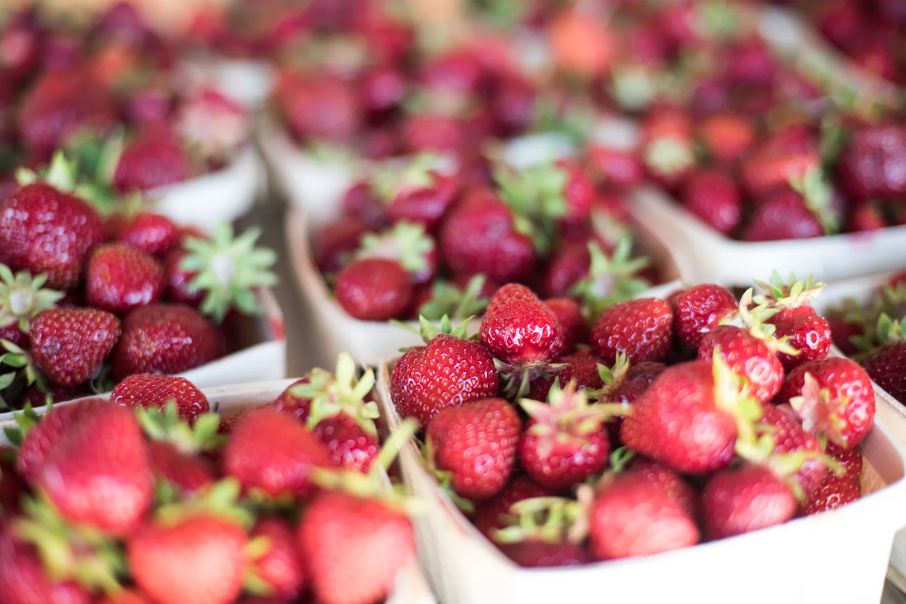 Michaud Farms-75.jpg