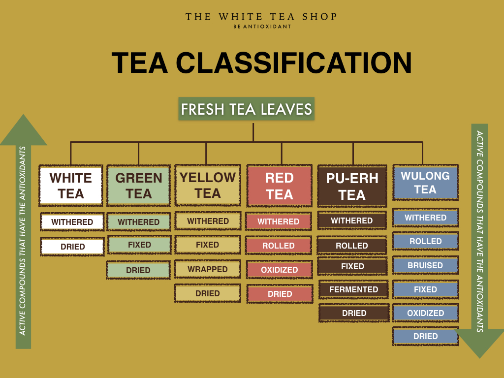 Tea Processing Chart - Editable in PPT.001.jpeg