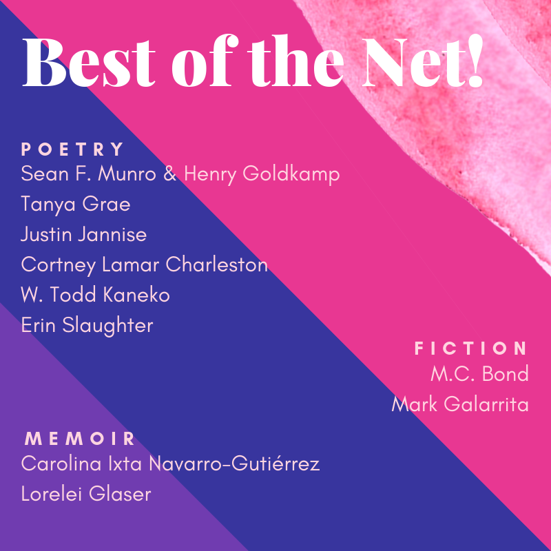 Announcing our 2019 Best of the Net Nominations!