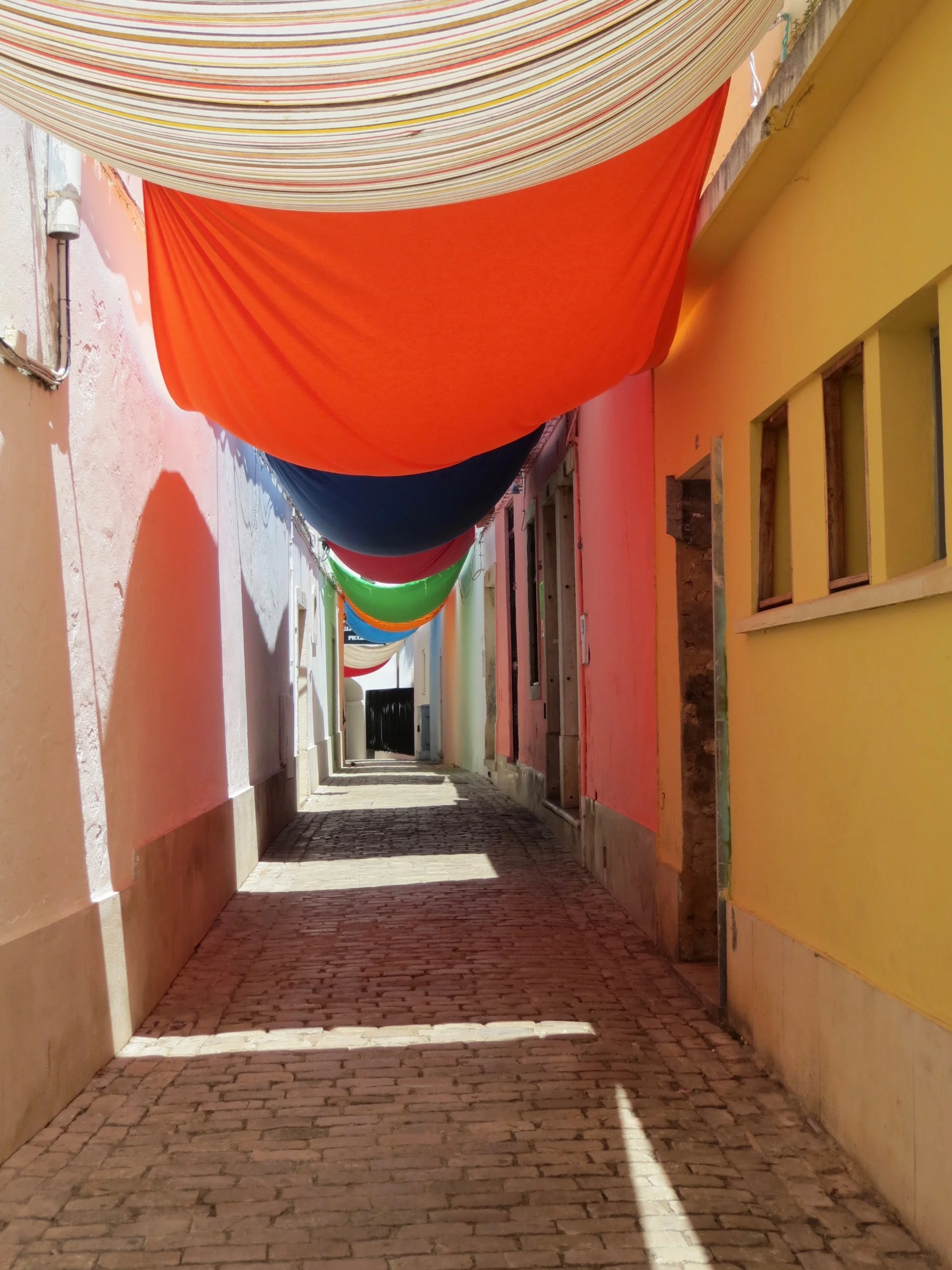 Just One Thing with  Nicholas Guerreiro