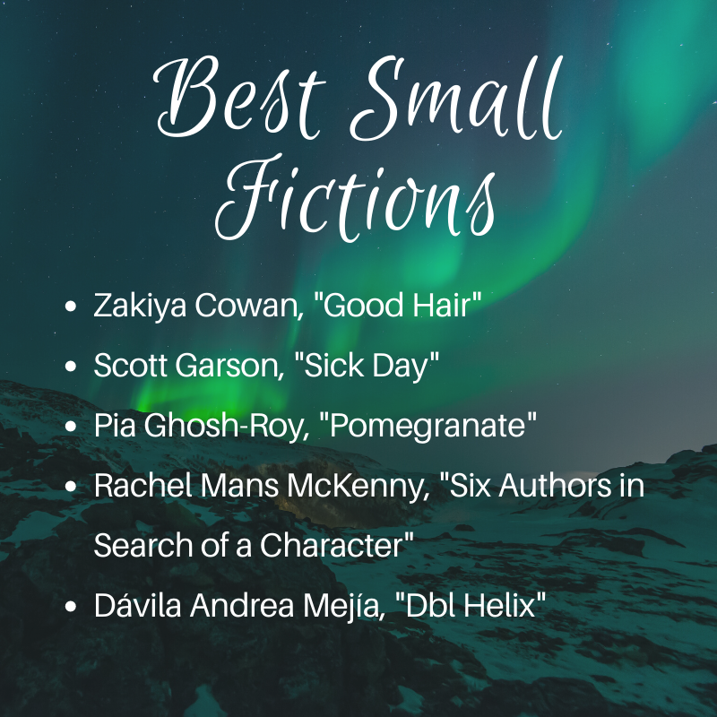 Announcing our 2019 Best Small Fictions nominees! 