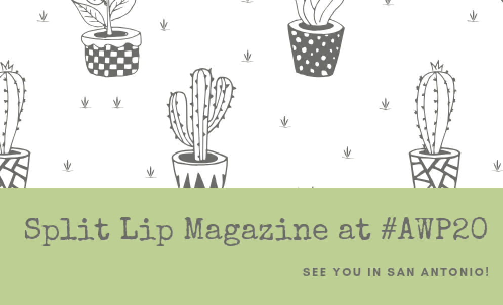 #SplitLipFAM at #AWP20