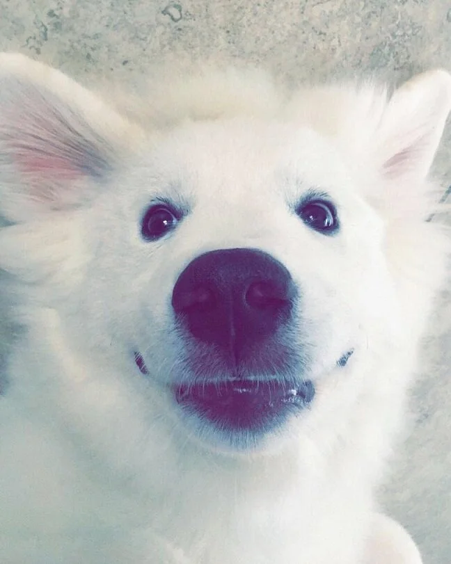 Just One Thing with Eddie Krzeminski