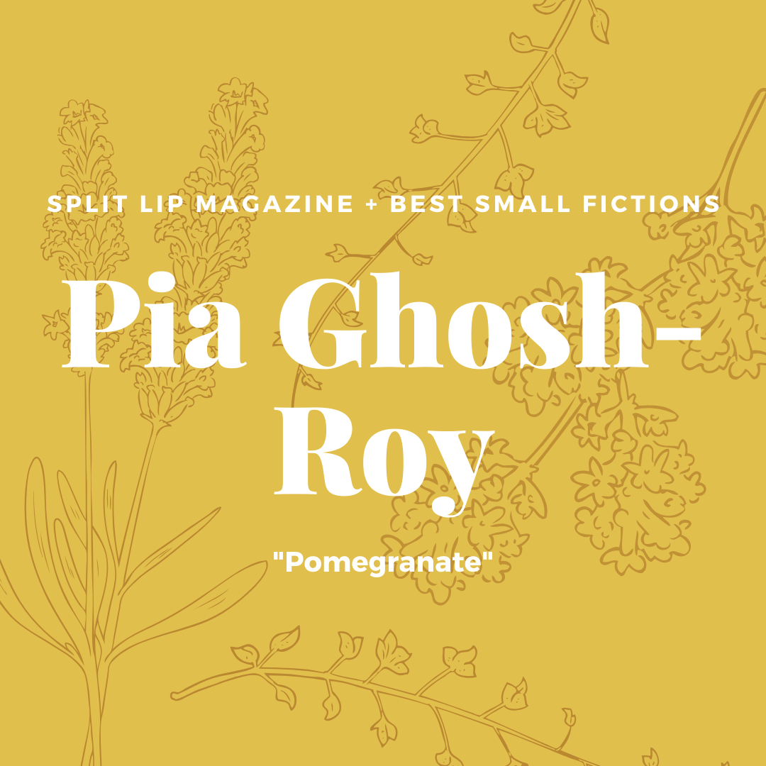Congrats to Pia Ghosh-Roy for her Best Small Fictions win!