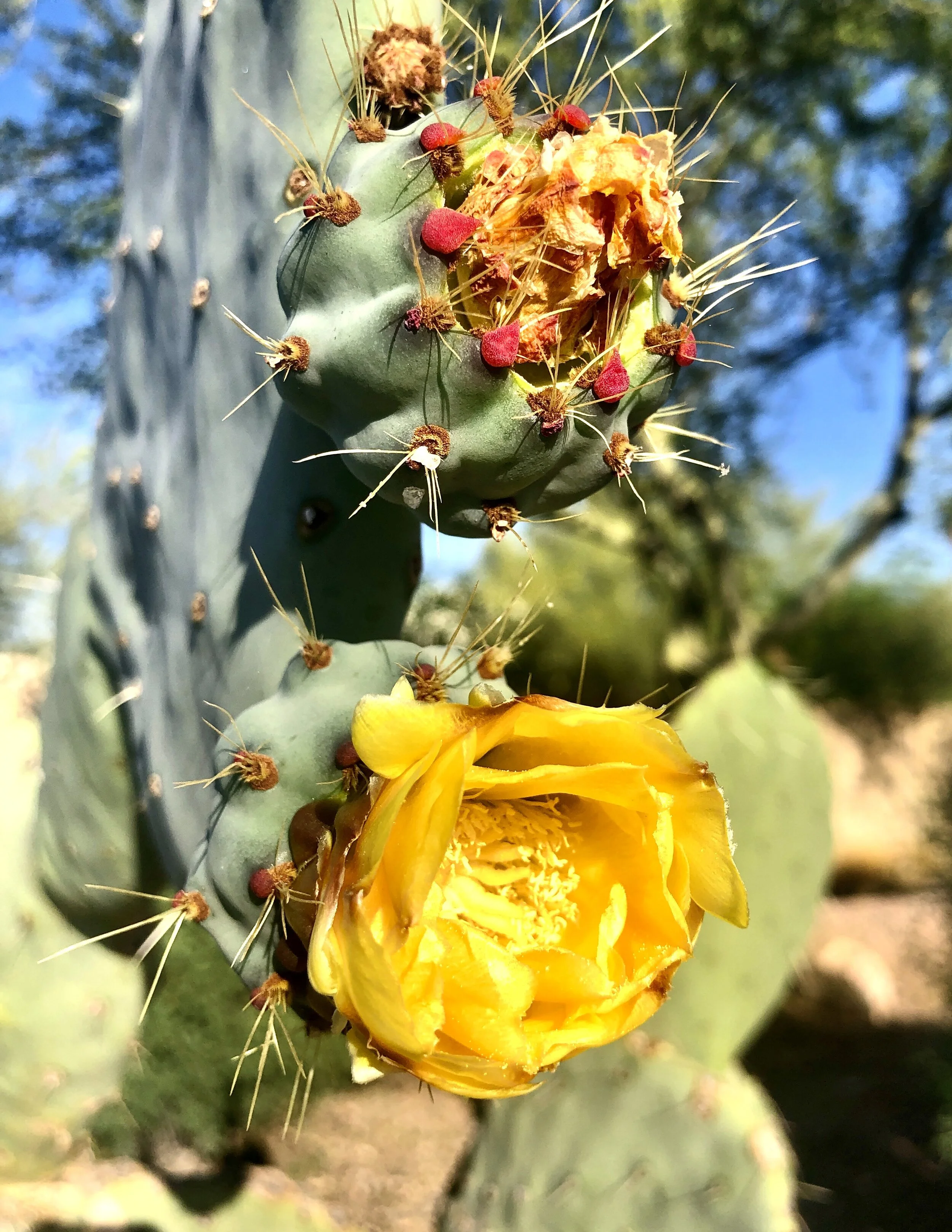 Just One Thing with Sabrina Hicks